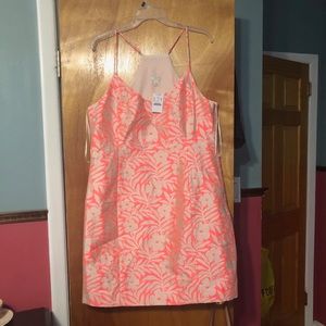 Cute j Crew summer dress!